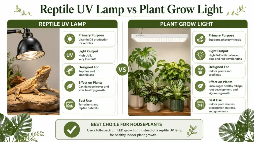 Reptile UV Lamp vs Plant Grow Light